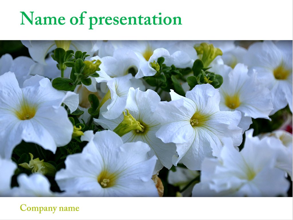 Free beautiful flowers powerpoint template Presentation